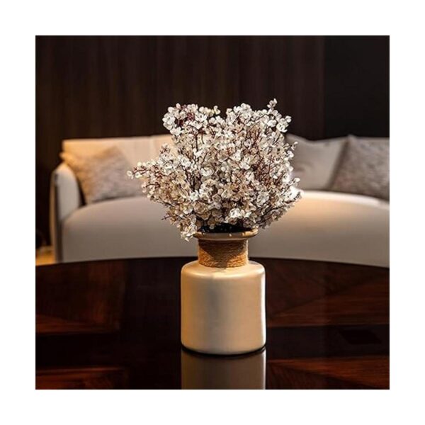 Exoment Ramo de flores artificiales Gypsophila 10