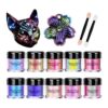 OSBANG Polvo de mica camaleón de 10 colores para pintura_1