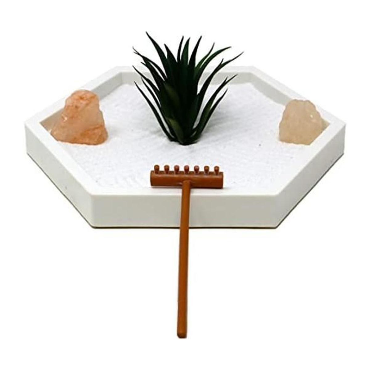 Natures Mark Mini kit de jardín Zen para escritorio con