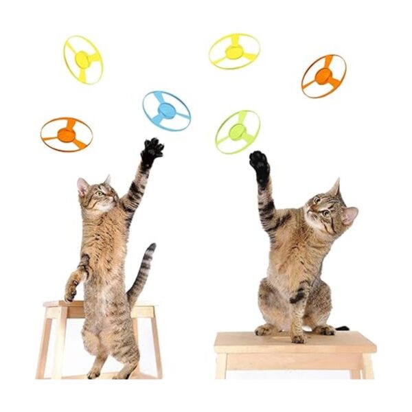 Juguete de búsqueda de gatos de 15 piezas con colorido_3