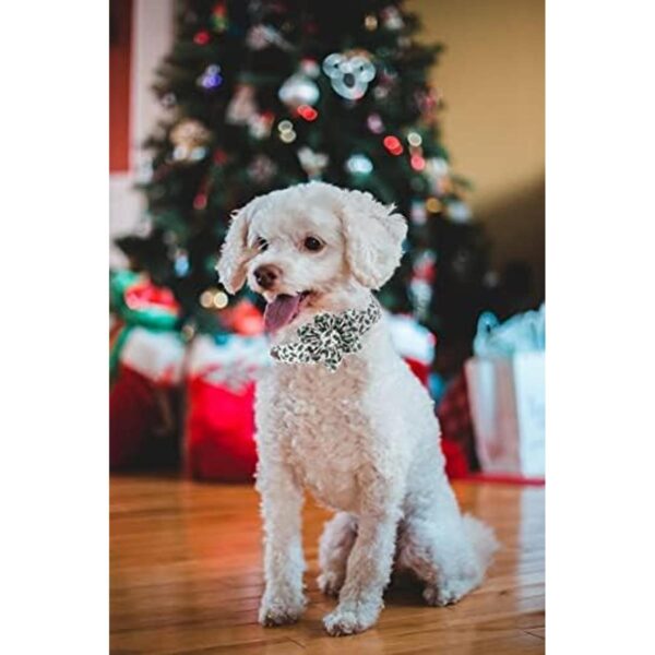 Elegant little tail Collar de perro de Navidad collar de
