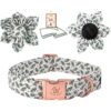 Elegant little tail Collar de perro de Navidad collar de
