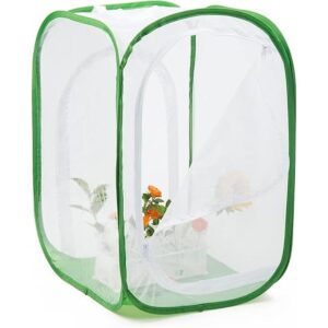 Hábitat de mariposa monarca de dos puertas jaula de malla_1