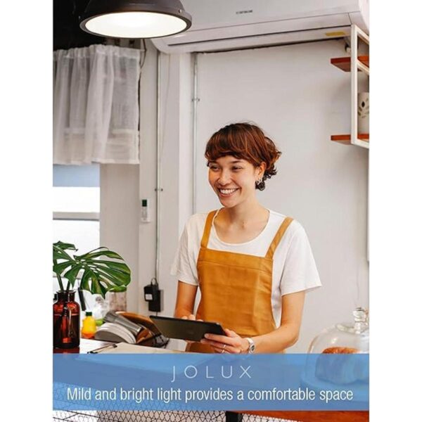 Jolux Bombilla LED A19 base de rosca media E26 14 W_2