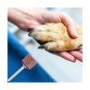 Leelosp Kit de 22 molinillos de uñas para mascotas con