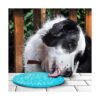 Pack de 4 alfombrillas para lamer lento alivio de la