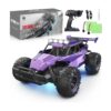 LARVEY 2WD Coche de control remoto morado a escala 116_1