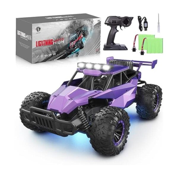 LARVEY 2WD Coche de control remoto morado a escala 116_1