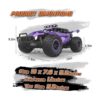 LARVEY 2WD Coche de control remoto morado a escala 116_3