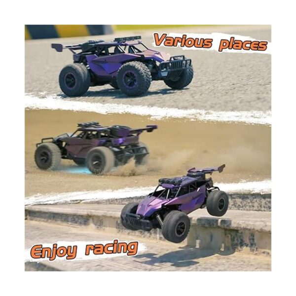 LARVEY 2WD Coche de control remoto morado a escala 116_5