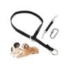 Cuello y clip de seguridad para collar de garras XL negro