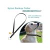 Cuello y clip de seguridad para collar de garras XL negro