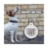 Collar de cuero para perro con diseño de la NASA collares