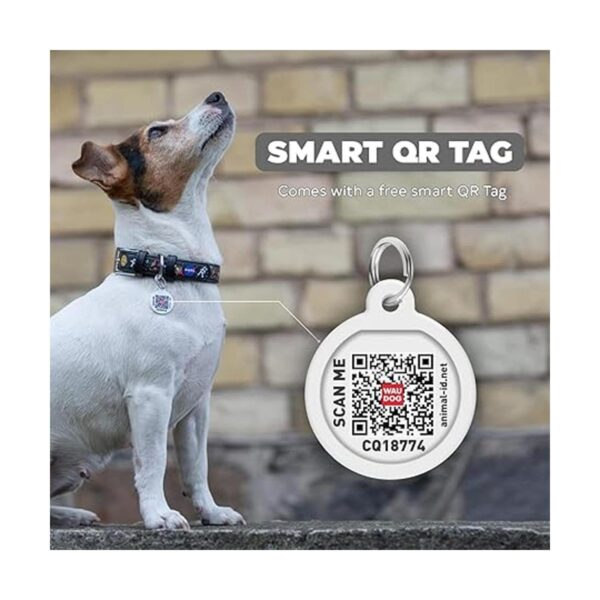 Collar de cuero para perro con diseño de la NASA collares