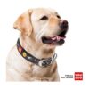 Collar de cuero para perro con diseño de la NASA collares