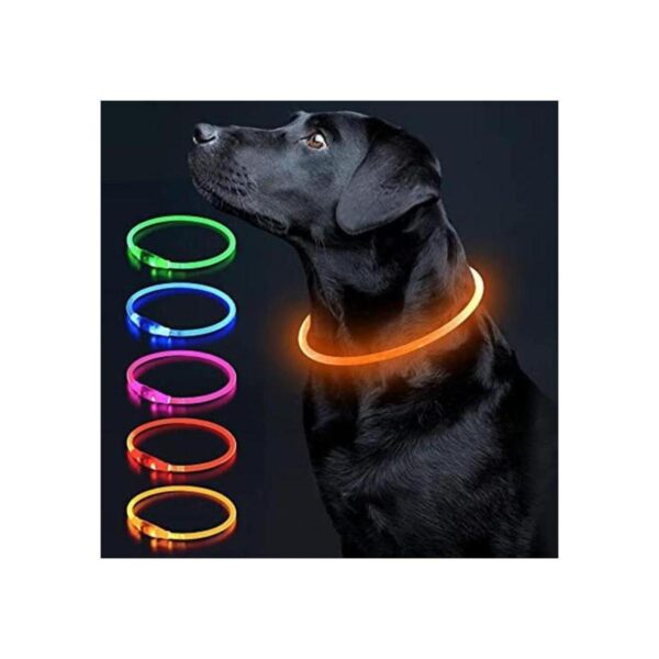 Colaseeme Collar de perro con luz LED 1 unidad recargable_1