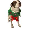 ComfyCamper Disfraz de perro con cuello de corona de_1