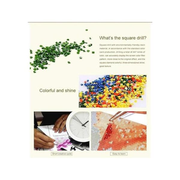 Kit de pintura de diamante 5D por números nativo