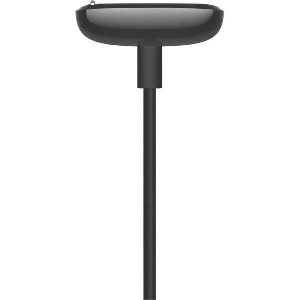 Fitbit Luxe Charge 5 y cable de carga al por menor_3