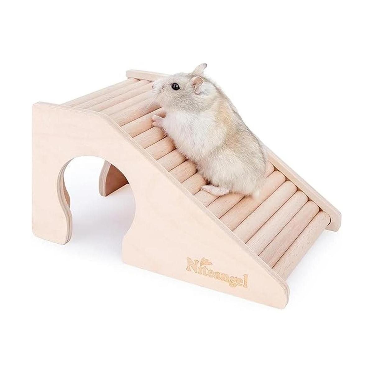 Niteangel Casa para hámster con escalera para hámsteres