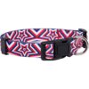 Native Pup Collar de perro de Acción de Gracias bonito_1