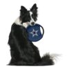 Littlearth NFL Dallas Cowboys calcetín mono y disco_5