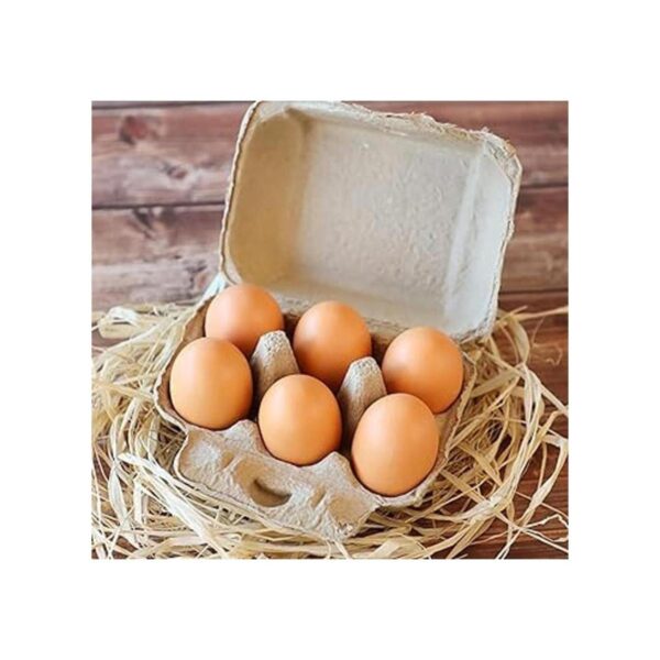 Lawei Paquete de 20 cajas vacías para huevos 6 celdas de