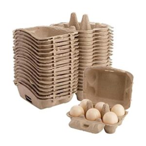 Lawei Paquete de 20 cajas vacías para huevos 6 celdas de
