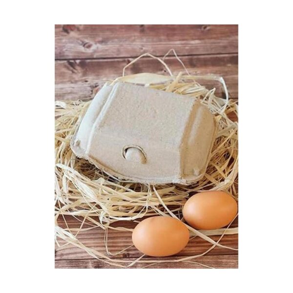 Lawei Paquete de 20 cajas vacías para huevos 6 celdas de