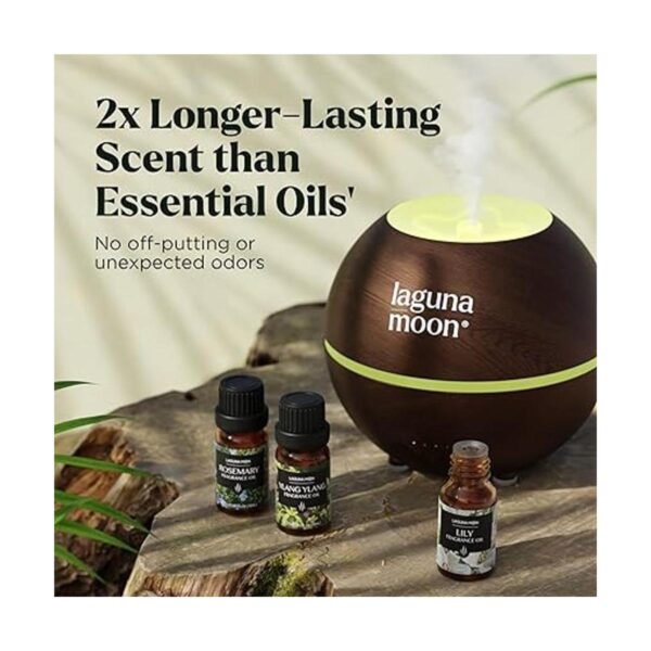 Colección de aceites aromáticos Juego de regalo de
