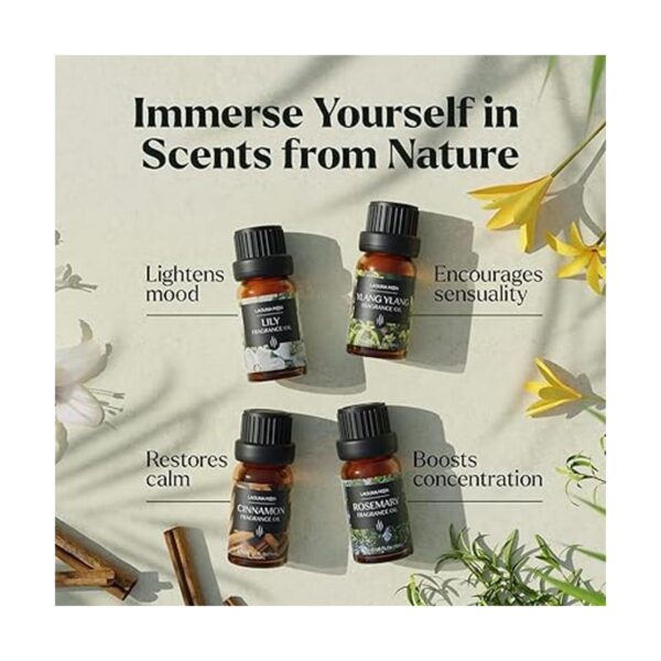 Colección de aceites aromáticos Juego de regalo de