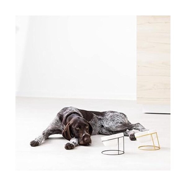 Navaris Cuencos inclinados para mascotas con soporte_5
