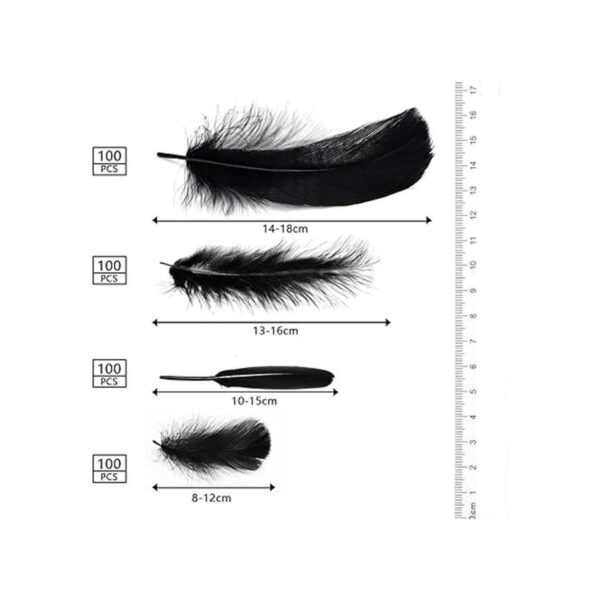 MWOOT 4 estilos surtidos de plumas para manualidades 400_3