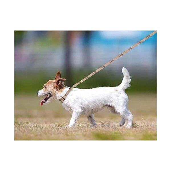 Juego de 3 collares de perro para perros pequeños collar