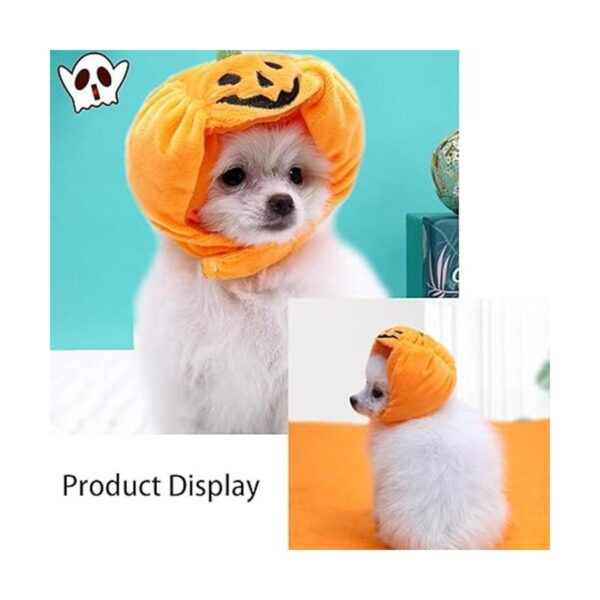 CooShou 2 unids gato pequeño perro Halloween Acción de_2