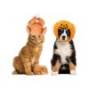 CooShou 2 unids gato pequeño perro Halloween Acción de_1