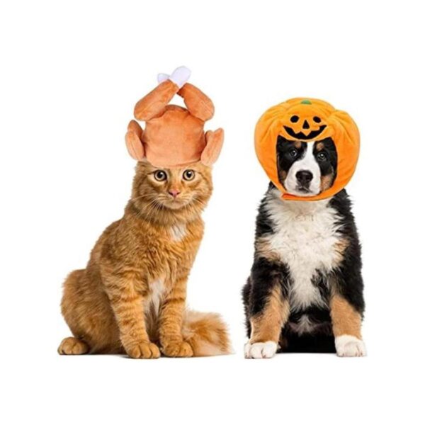 CooShou 2 unids gato pequeño perro Halloween Acción de_1