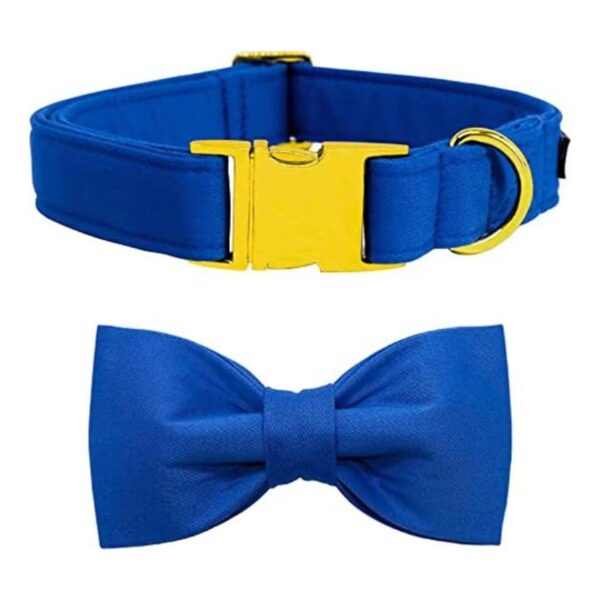 Maca Bates Collar y correa para perro ajustable azul y