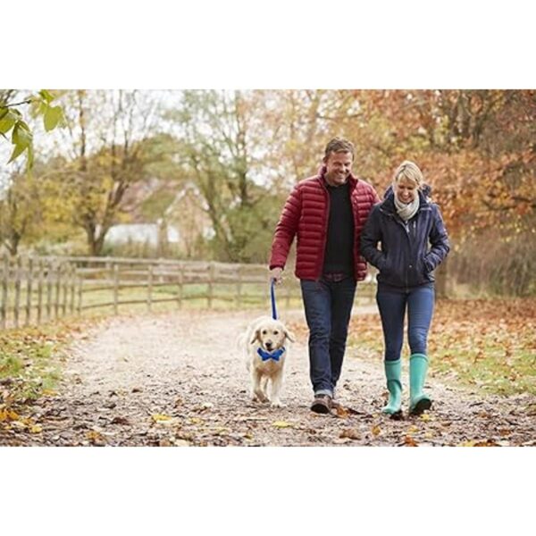 Maca Bates Collar y correa para perro ajustable azul y