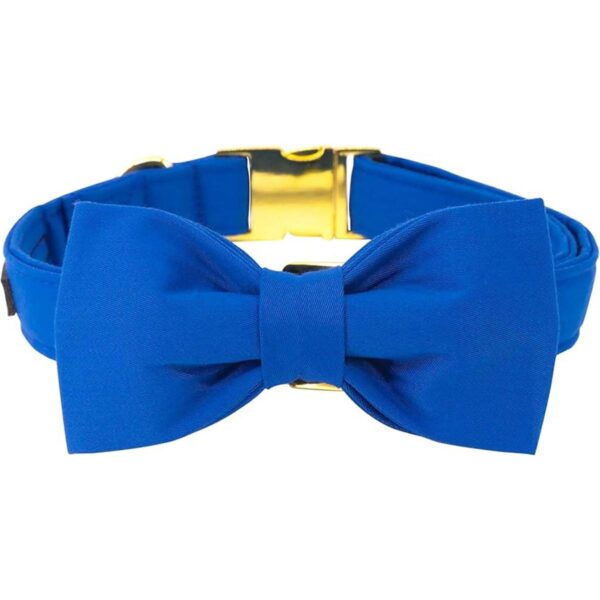 Maca Bates Collar y correa para perro ajustable azul y