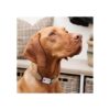 Etiqueta de perro para collar collar de acero inoxidable_5