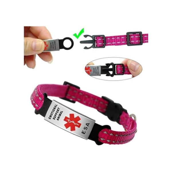 Etiqueta de perro para collar collar de acero inoxidable_4