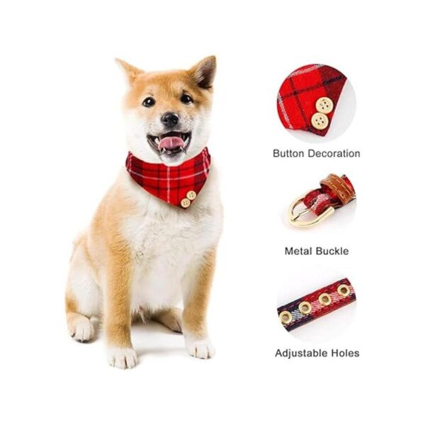 Collar de 3 piezas para perros pequeños y medianos correa_3
