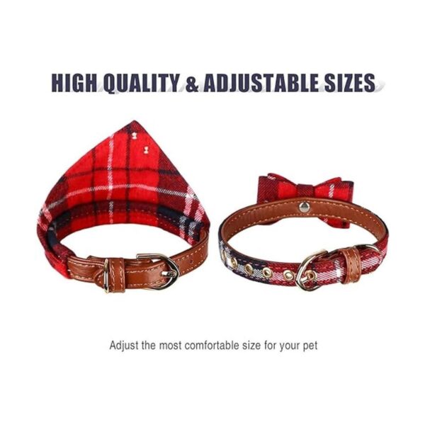 Collar de 3 piezas para perros pequeños y medianos correa_5
