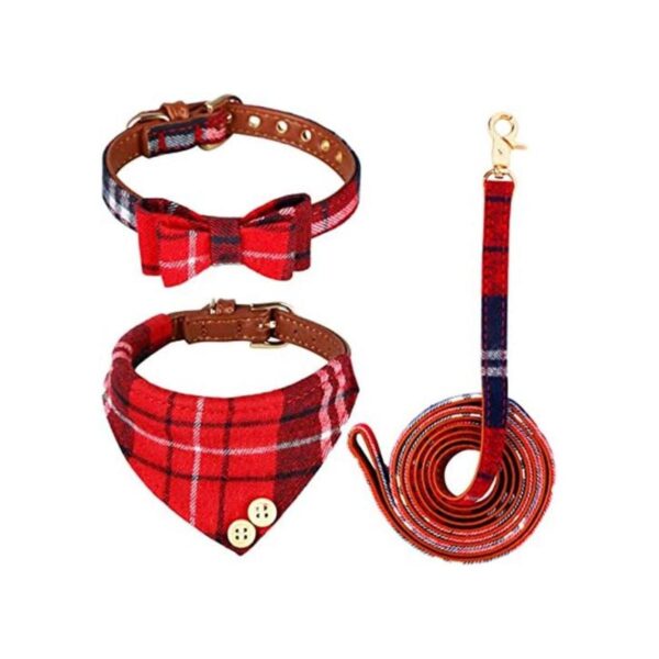 Collar de 3 piezas para perros pequeños y medianos correa_1