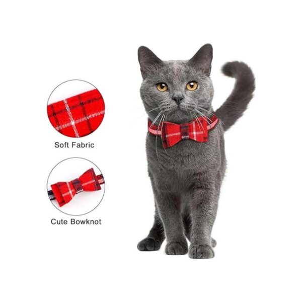 Collar de 3 piezas para perros pequeños y medianos correa_2