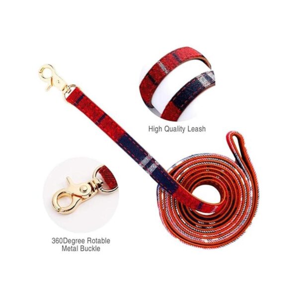 Collar de 3 piezas para perros pequeños y medianos correa_6