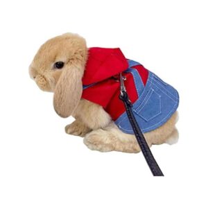 Anelekor Disfraz de conejo para mascotas pequeñas_1