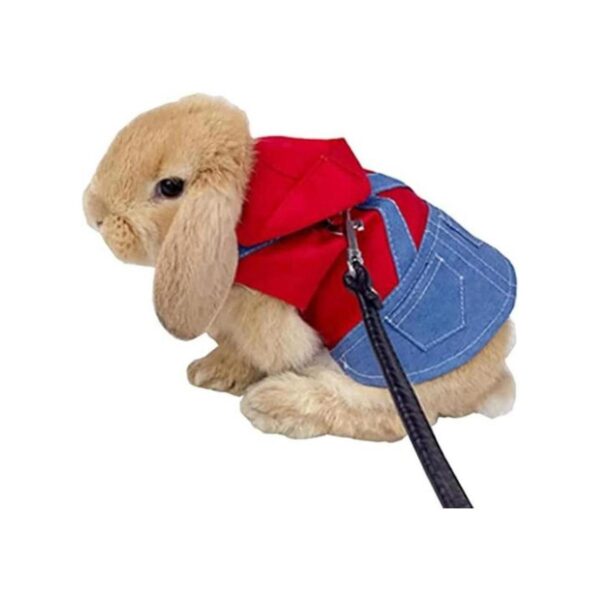 Anelekor Disfraz de conejo para mascotas pequeñas_1