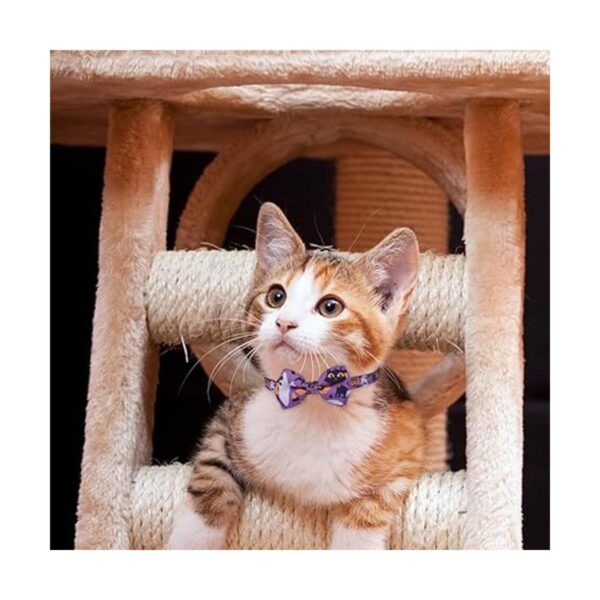 4 collares ajustables para Halloween con pajarita